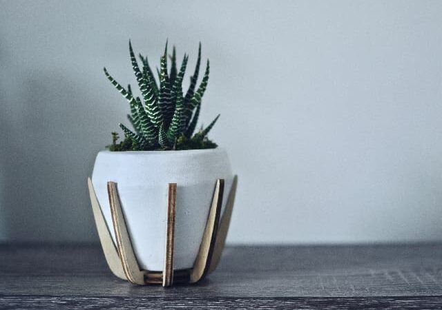 Create a Healthier Workplace