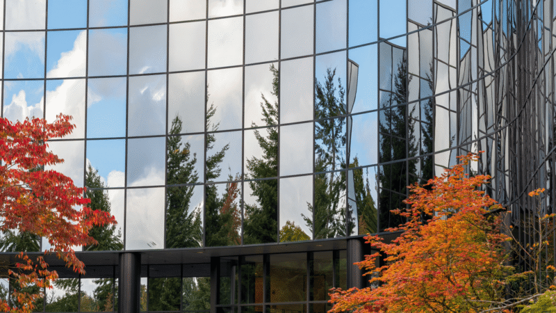 WHY FALL IS THE IDEAL TIME TO FIND YOUR NEW OFFICE SPACE IN ARIZONA